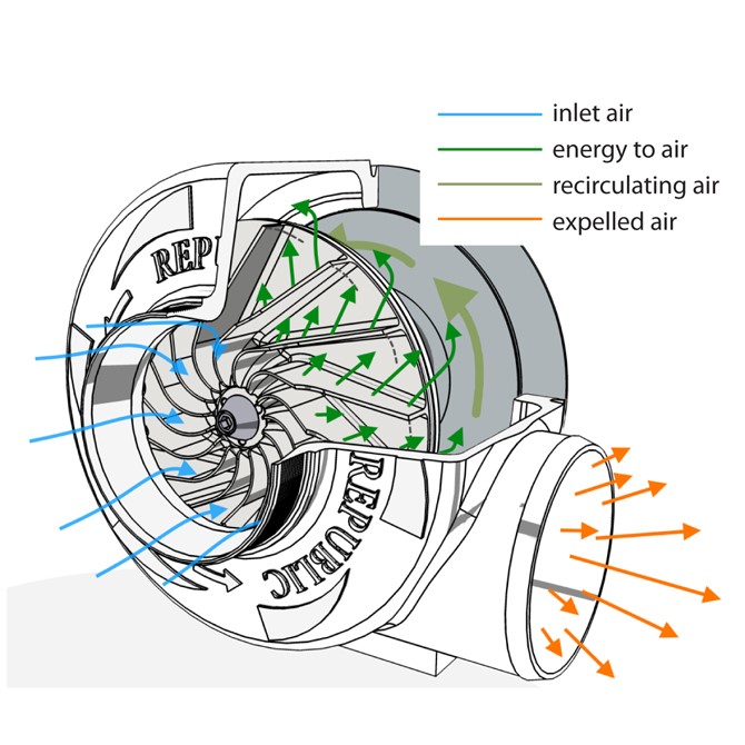 Fan